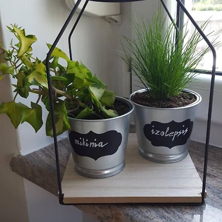Apartment Greenhouse Οπατία Εξωτερικό φωτογραφία