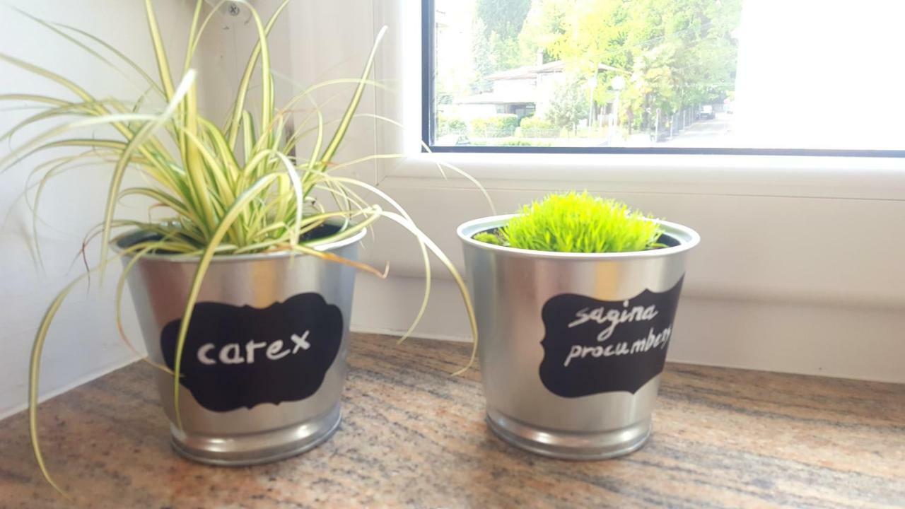 Apartment Greenhouse Οπατία Εξωτερικό φωτογραφία